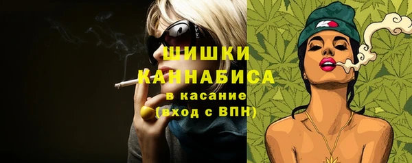 PSILOCYBIN Алзамай