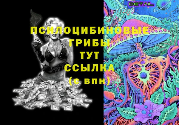 прущий лед Аркадак